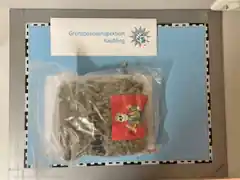 Im Pkw 440 Gramm Marihuana gefunden