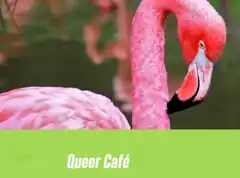 Team des Queer-Cafés lädt ein
