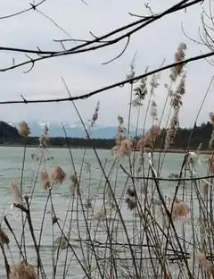 Ratschen auf dem Weg nach Attel