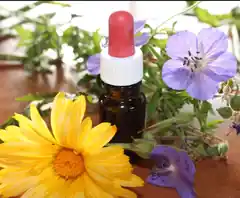 Kurs Homöopathische Hausapotheke