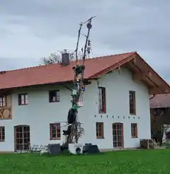 Lange Tradition: Hungerbäume aus der Region