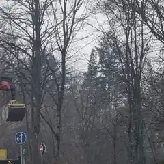Baumfällung entlang der Bahnhofstraße in Reitmehring
