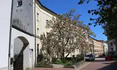 Neue Termine für Familien-Unterstützung