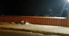 Nachwirkungen der Silvesternacht