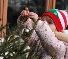 So können Edlinger Christbäume abgeben