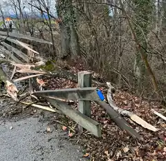Baum als Auslöser für Kollision