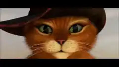 Der Kater und sein letzter Wunsch