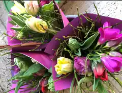 Frühling im EDEL-DING