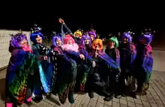 Wasserburg kann Fasching