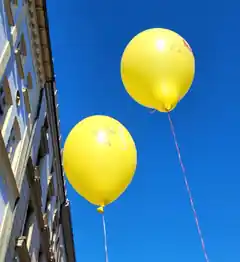 Verliebt ins Ehrenamt