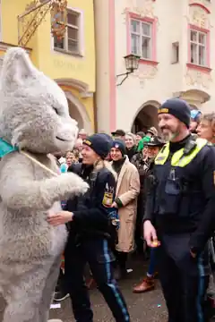 Von großen Katzen und vom Fasching begeistert