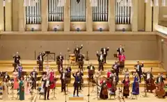 Die schönsten Melodien aus Wien