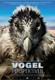 Die Mission: Rettung der Vögel