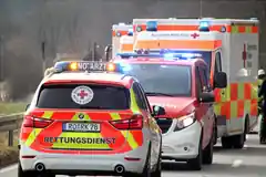 Tödlicher Unfall bei Waldarbeiten