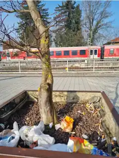 Endstation Bahnhof Reitmehring?