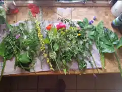 Neue Termine: Erlebnisse mit Kräutern