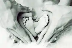 „Babyklappe“ kommt