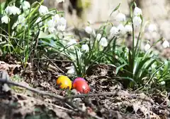 Ostereier-Suchen für Kinder