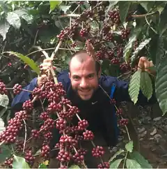 Deliano plant Kaffeeanbau im Blaufeld