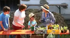 „Querbeet“ durch den heimischen Garten