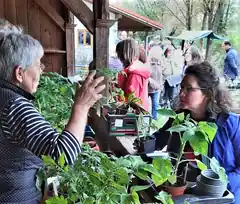 Pflanzen tauschen, Gutes tun