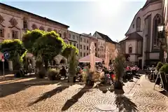 Wieder „Magentratzerl“ in der Stadt