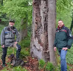 Biodiversität im Wald wird großgeschrieben