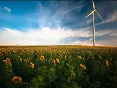 Über Nutzen der Windkraft informieren