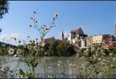 Wild- und Heilkräuter in der Stadt