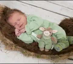 Willkommen Babys