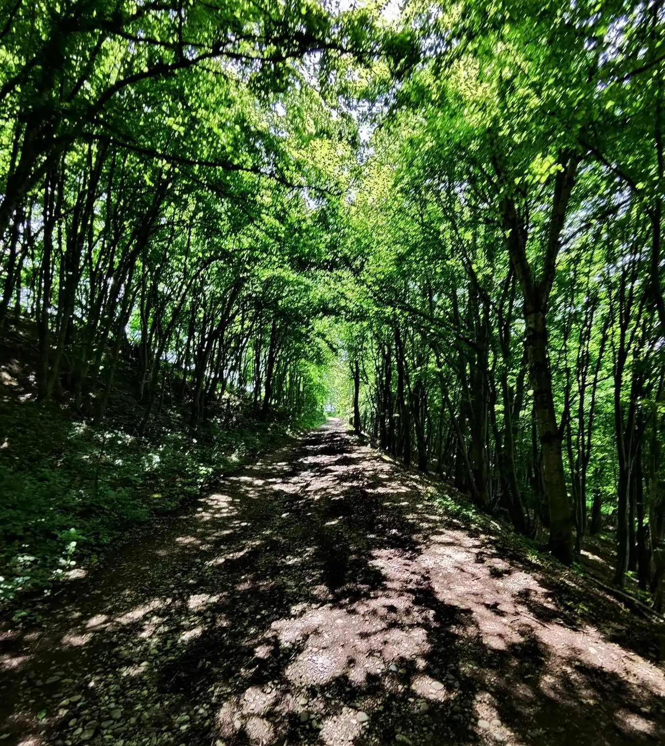 Ratschen und wandern