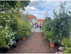 Haag feierte sich selbst