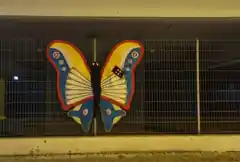Ein Pflaster für den Schmetterling