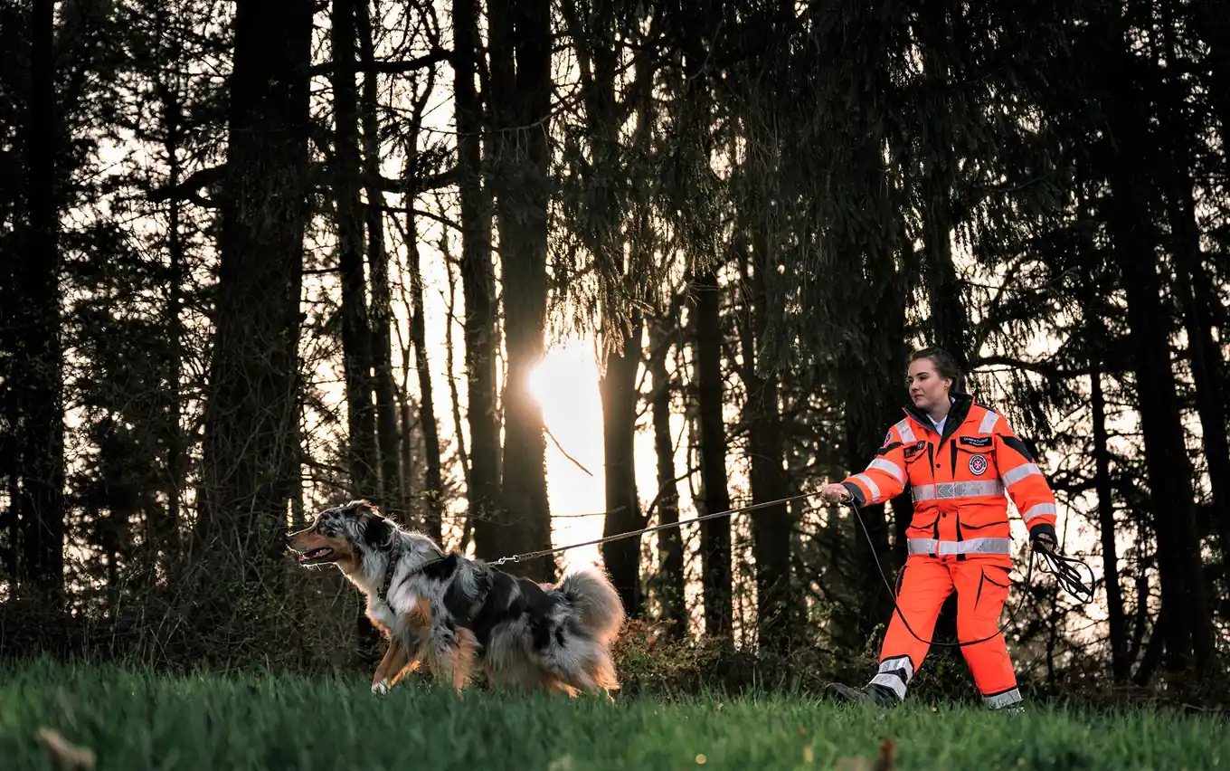 Hunde finden Vermissten im Wald liegend