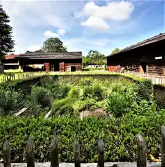 Wild- und Gartenkräuter im Einklang