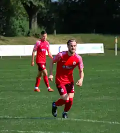Souveräne Löwen