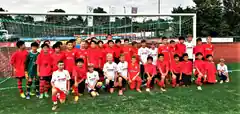 Kleine Löwen spielen international