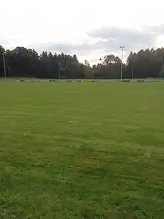 Neues Grün für den TSV