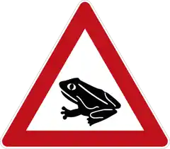 Wenn die Amphibien Wandertage haben