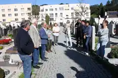 Der Efeu und die alte Stadtmauer
