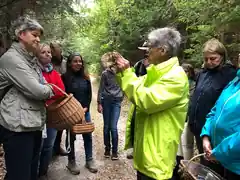 Streifzug durchs Unterholz