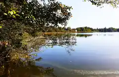 Den Herbst genießen
