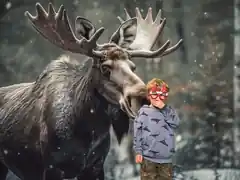 Wer schießt das tollste Weihnachtsfoto?