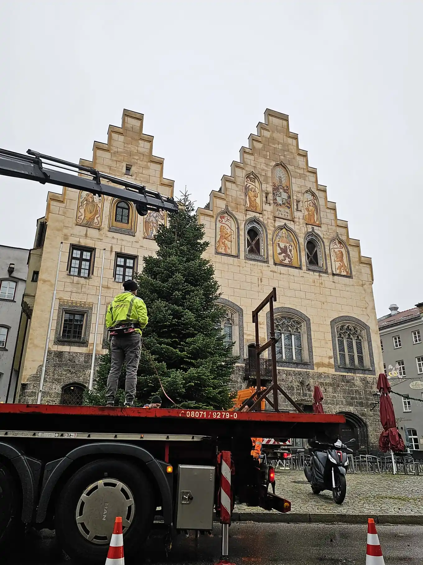 Christbäume kommen im Dauerregen