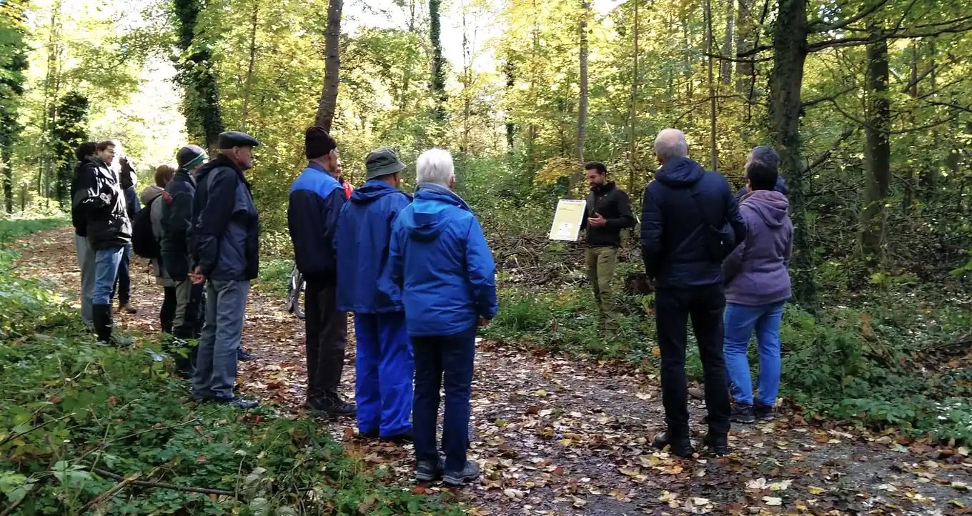 Der Wald-Zukunft auf der Spur