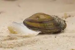 Hohe Ansprüche an Wasserqualität