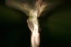 Im Gespräch mit Heidi Schmidinger