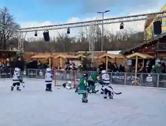 Kleine Kufenflitzer ganz groß