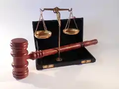 Tod von 33 Rindern vor Gericht
