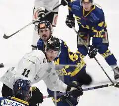EHC Waldkraiburg reist nach Bad Aibling